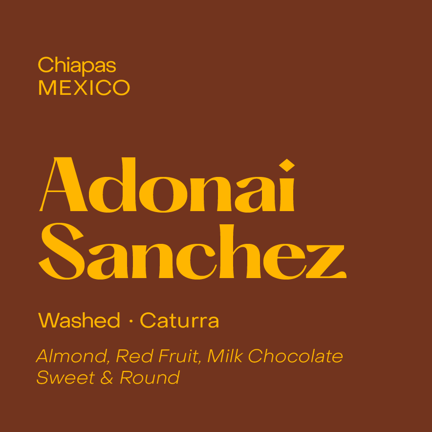 Photo of Adonai Sanchez | Mexico - Washed Field Blend (Filter)