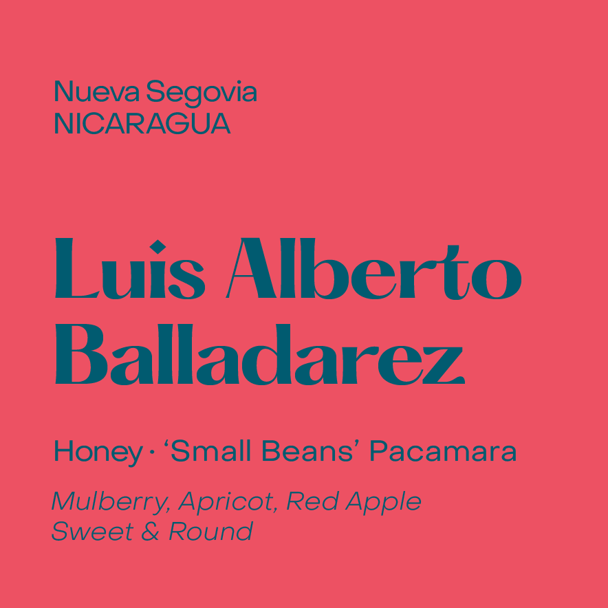 Nicaragua Luis Alberto Balladarez, Honey Pacamara - Filter packshot