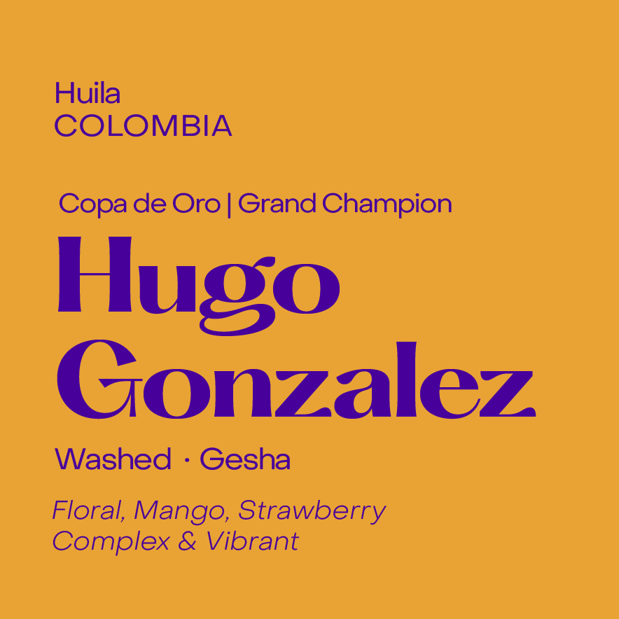 Photo of Hugo Gonzalez | Colombia - Washed Gesha (Filter Beans)