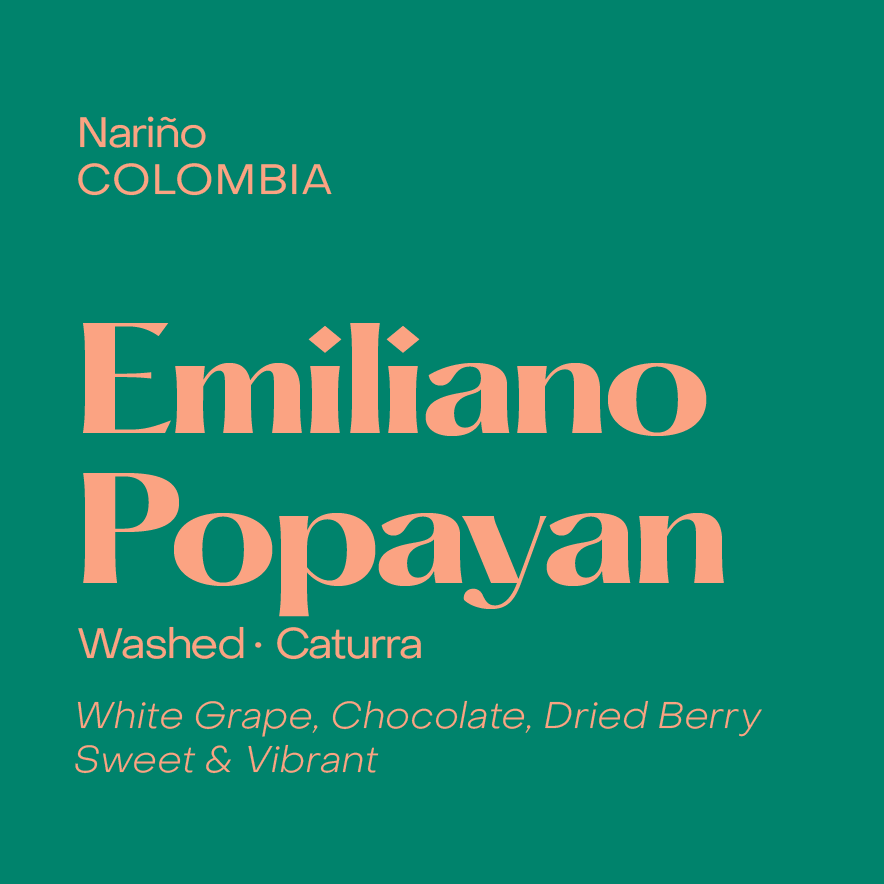 Photo of Emiliano Popayan | Colombia - Washed Caturra (Filter Beans)