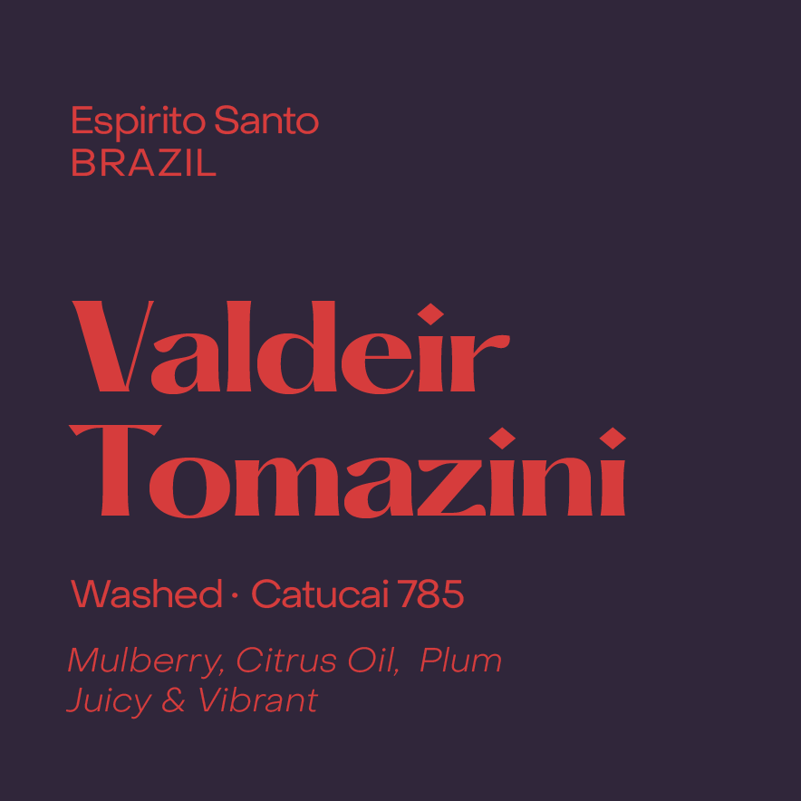 Photo of Valdeir Tomazini | Brazil- Washed Catucai 785 (Filter Beans)