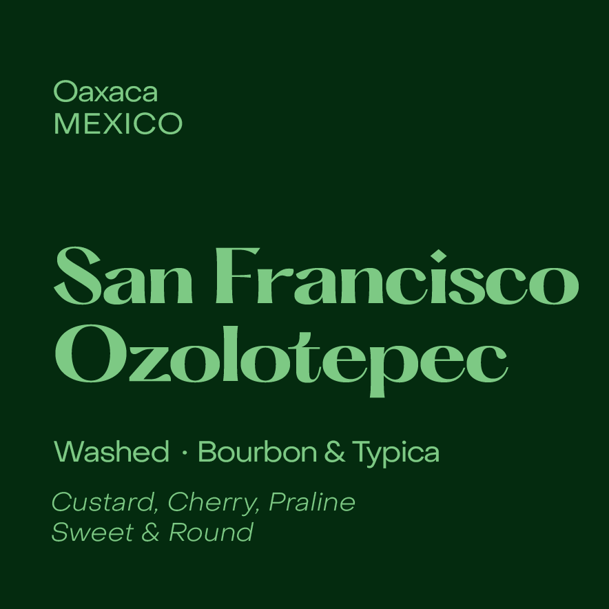 Photo of San Francisco Ozolotepec | Mexico - Washed Field Blend (Espresso)