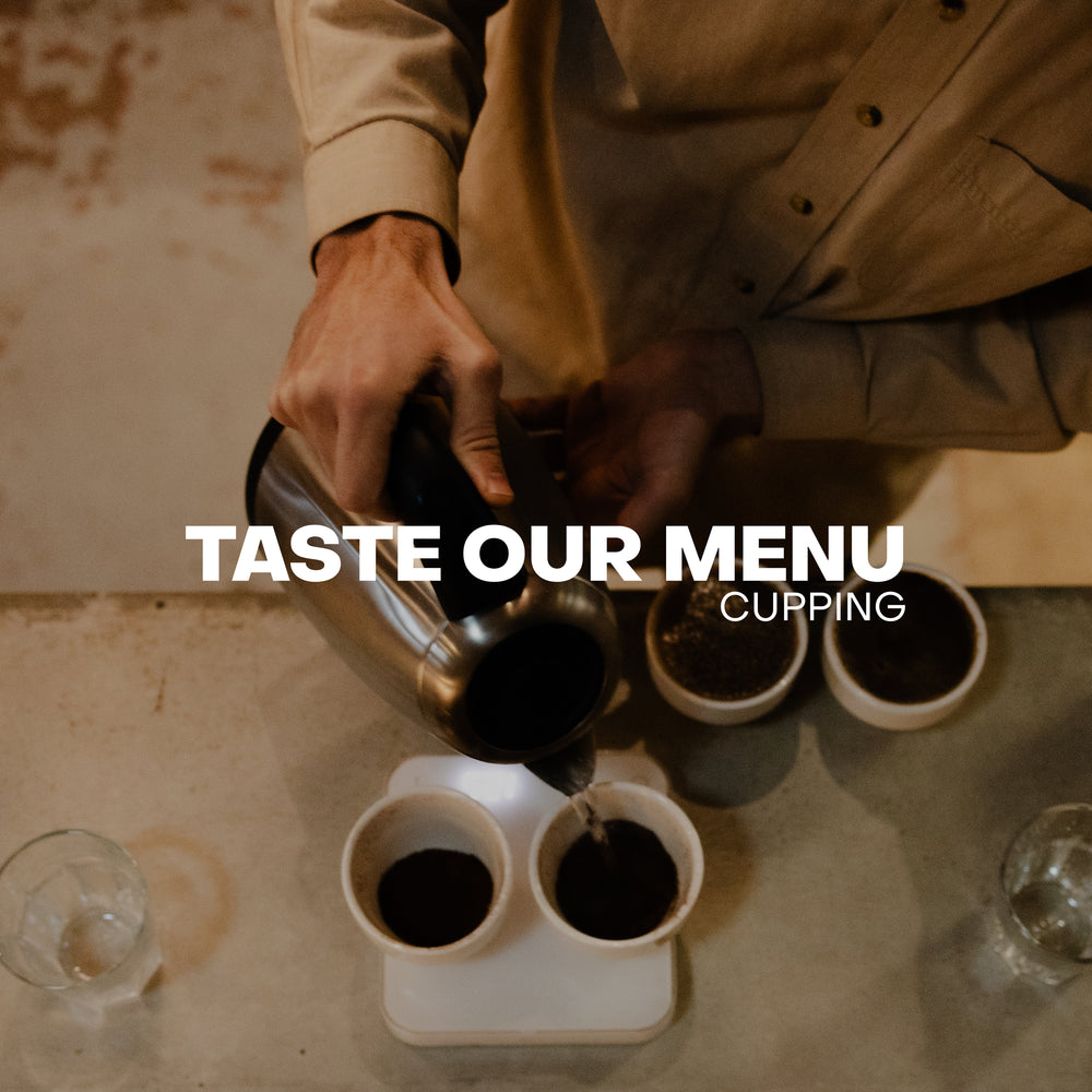 Menu Cupping — February 14th, '26 – Subtext Coffee Roasters