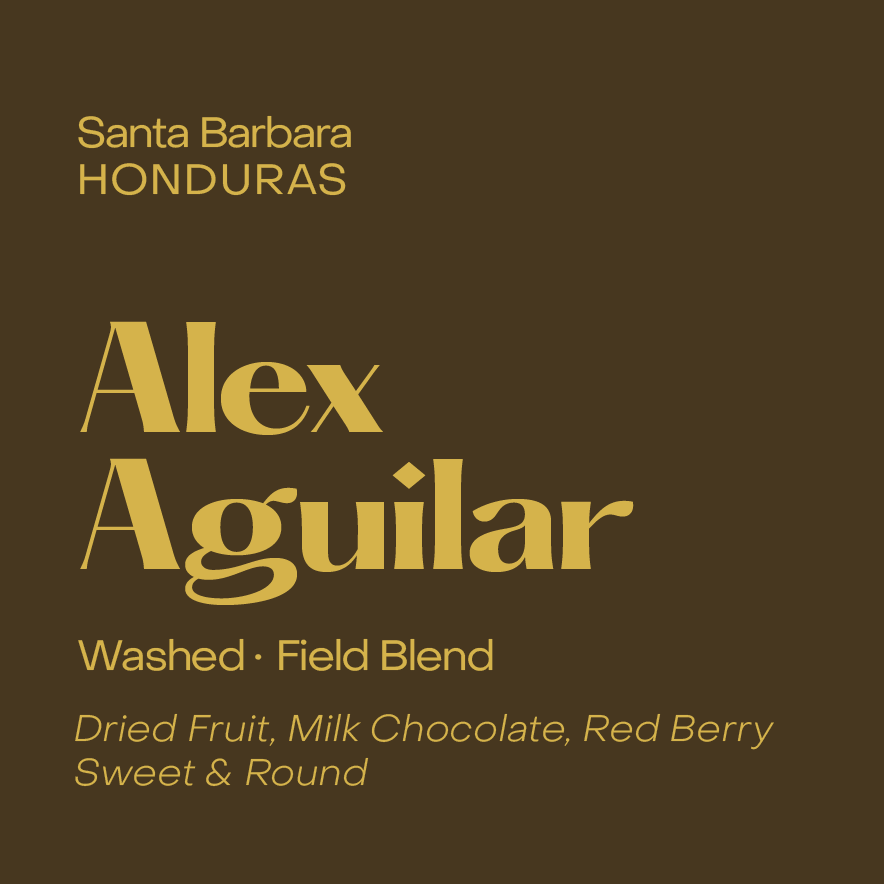 Photo of Alex Aguilar, Washed Field Blend