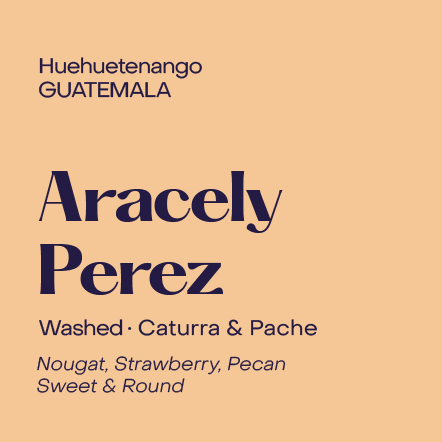 Guatemala Aracely Perez, Washed Field Blend - Filter packshot