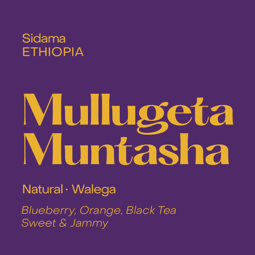Photo of Ethiopia Mullugeta Muntasha, Natural Walega