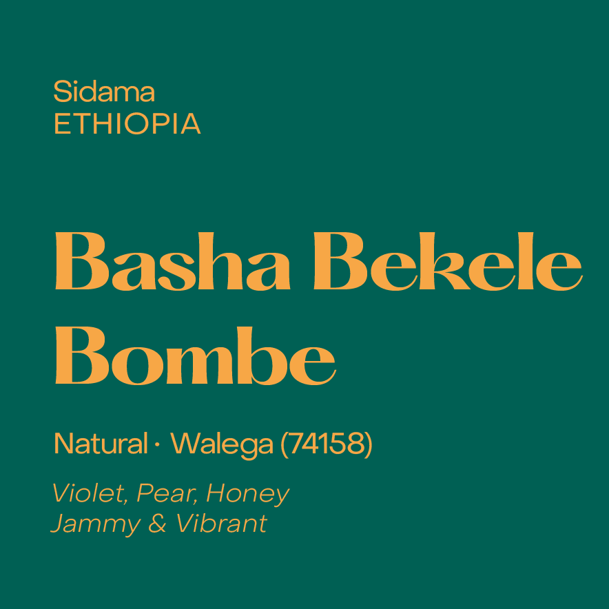 Ethiopia Basha Bekele Bombe, Natural Walega - Filter packshot