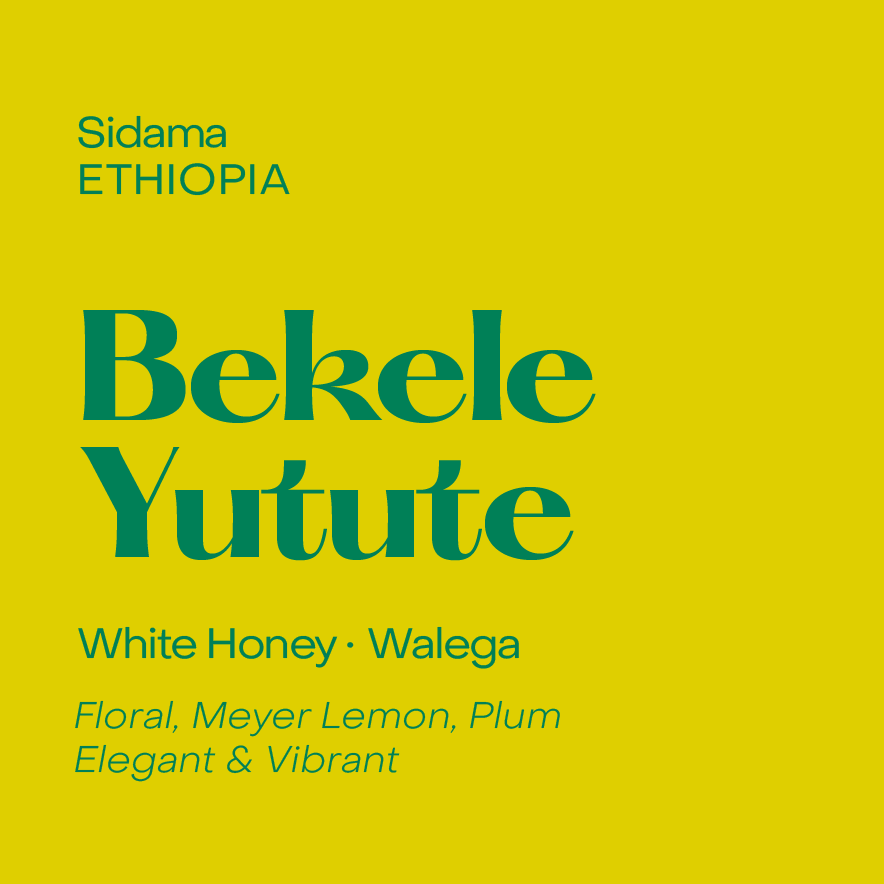 Ethiopia Bekele Yutute, White Honey Walega - Filter packshot