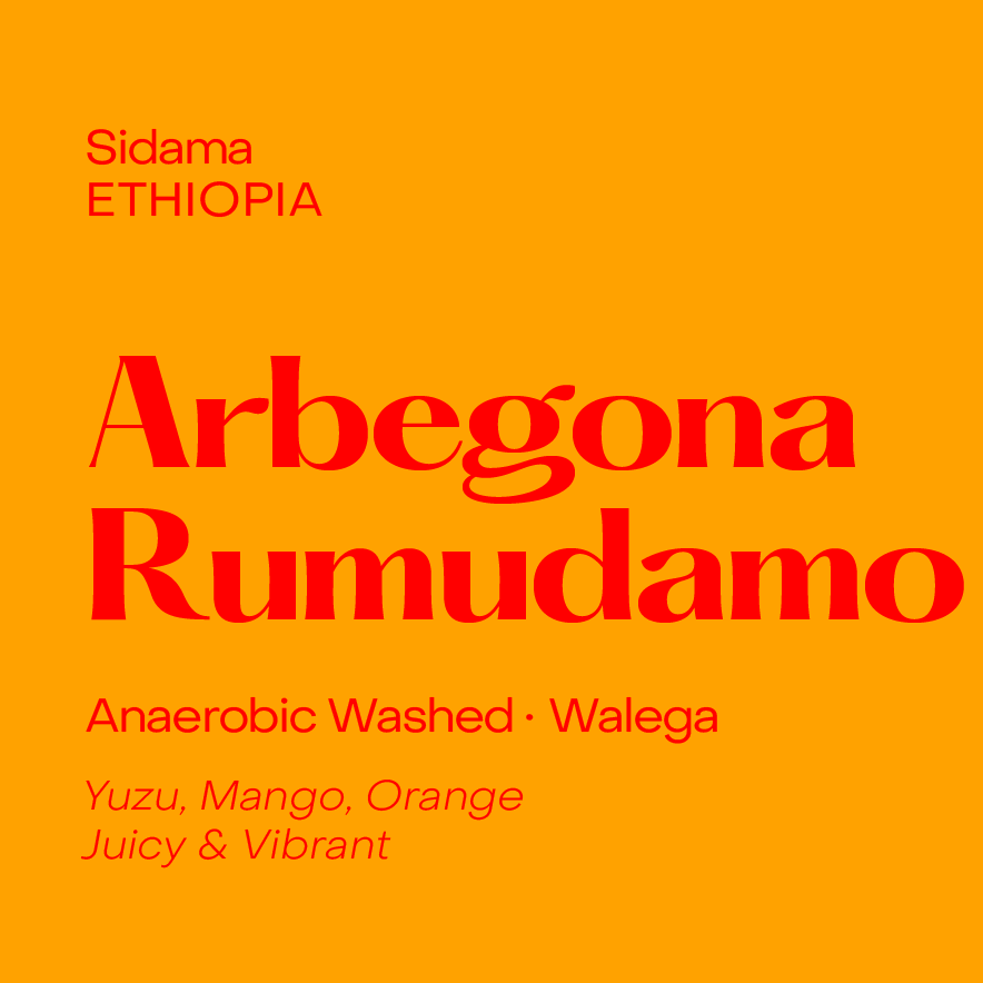 Photo of Arbegona Rumudamo, Ethiopia Anaerobic Washed Walega