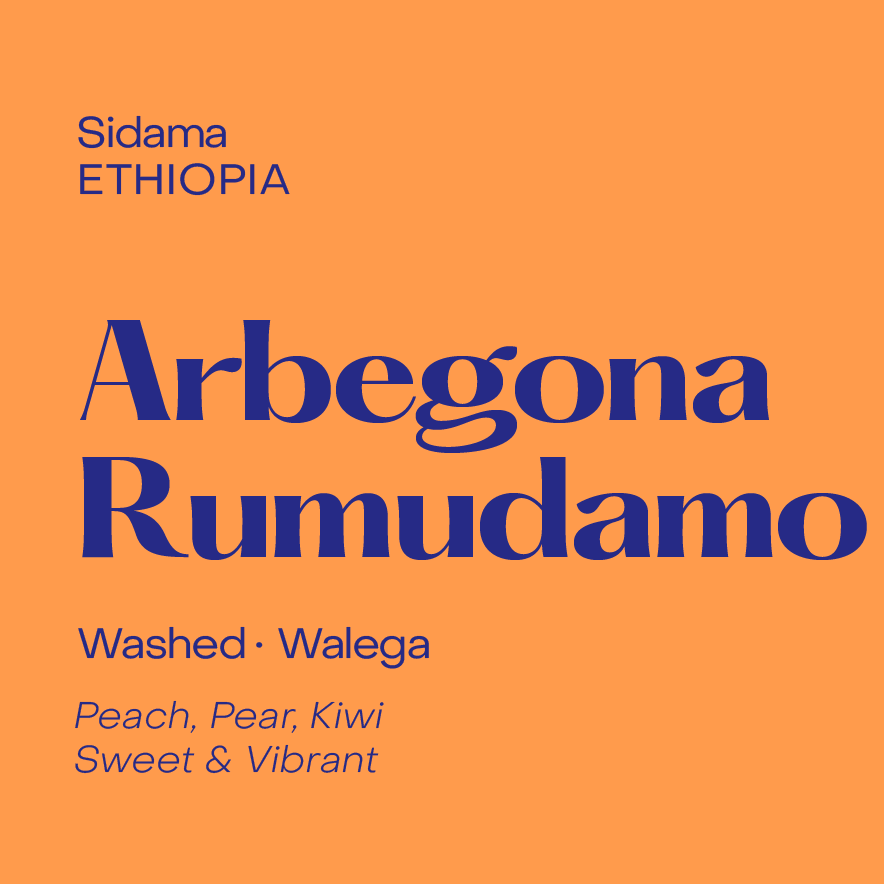 Photo of Arbegona Rumudamo, Ethiopia Washed Walega