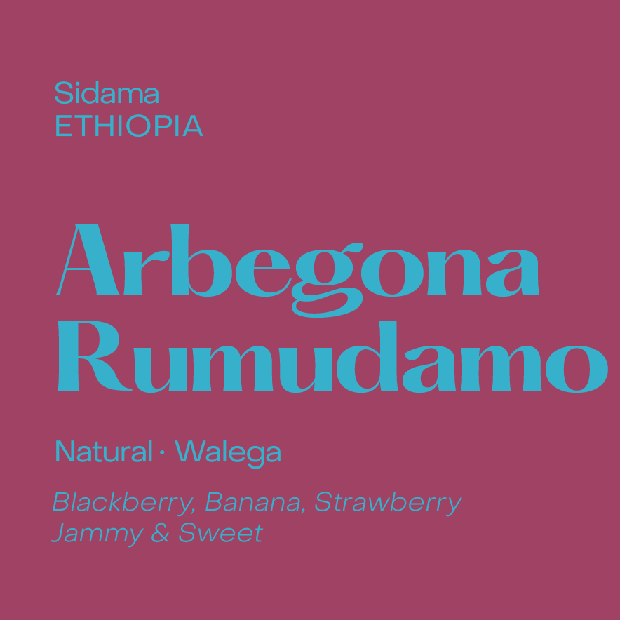 Photo of Arbegona Rumudamo, Ethiopia Natural Walega
