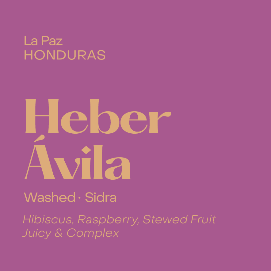 Photo of Honduras Heber Ávila, Washed Sidra