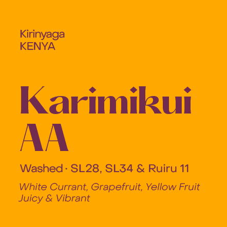 Kenya Karimikui AA - Filter packshot