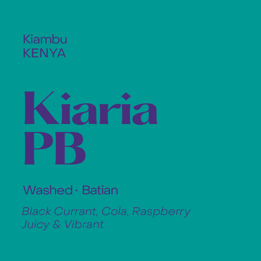 Kenya Kiaria PB - Filter packshot