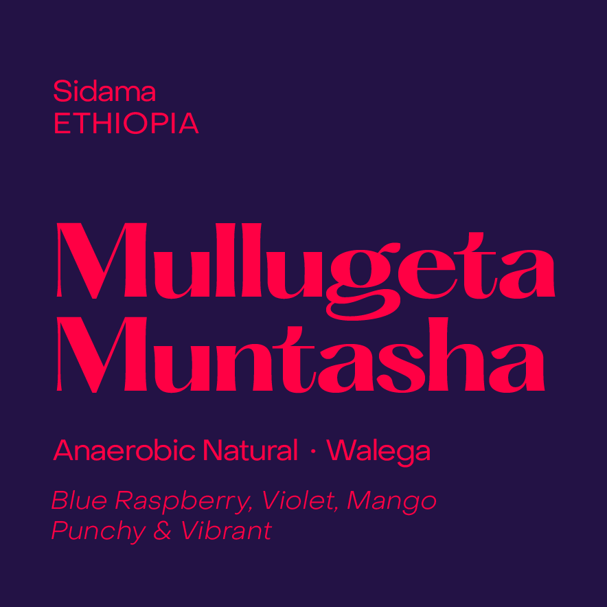 Photo of Mullugeta Muntasha, Anaerobic Natural Walega