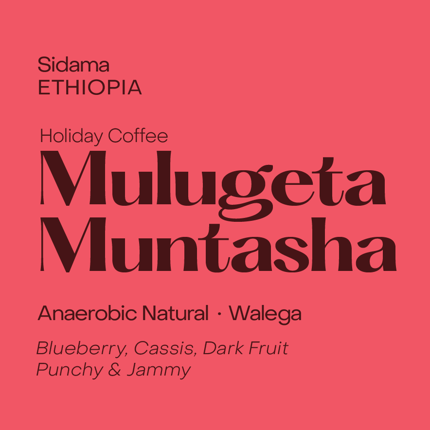 Holiday Coffee | Ethiopia Mulugeta Muntasha, Anaerobic Natural Walega - Filter Beans packshot