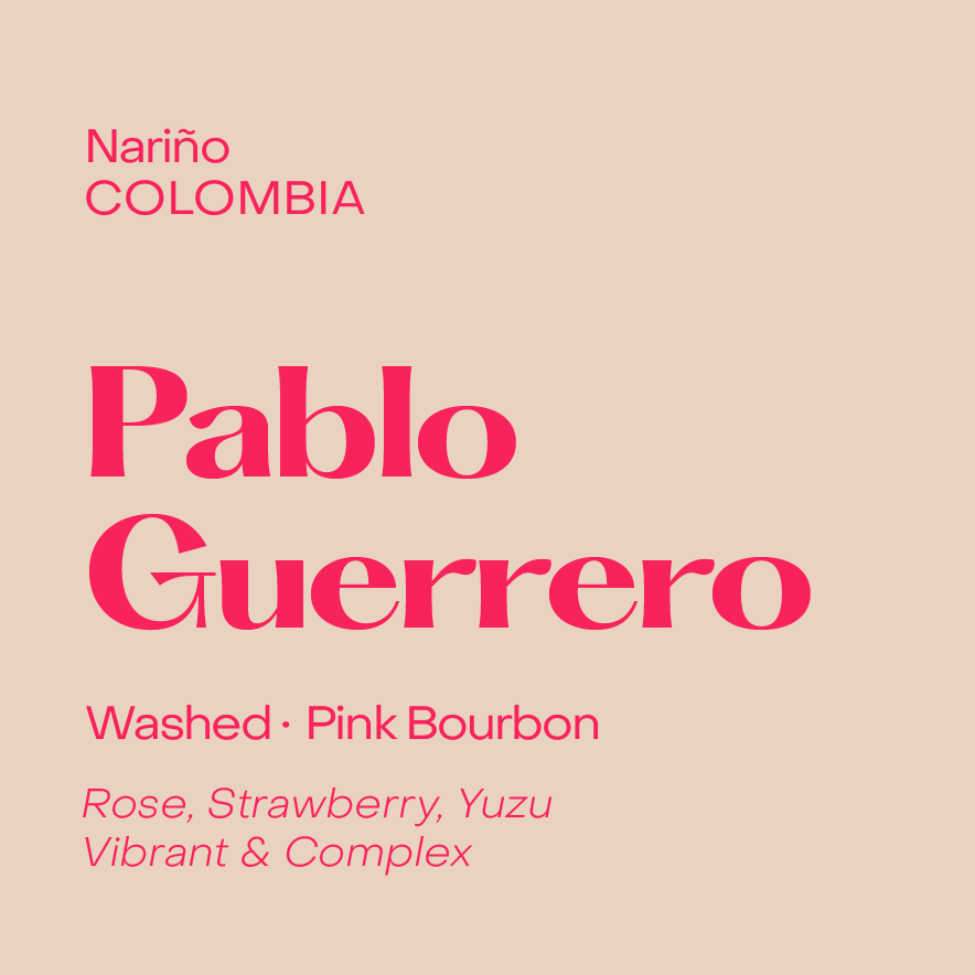 Colombia Pablo Guerrero, Washed Pink Bourbon - Filter packshot