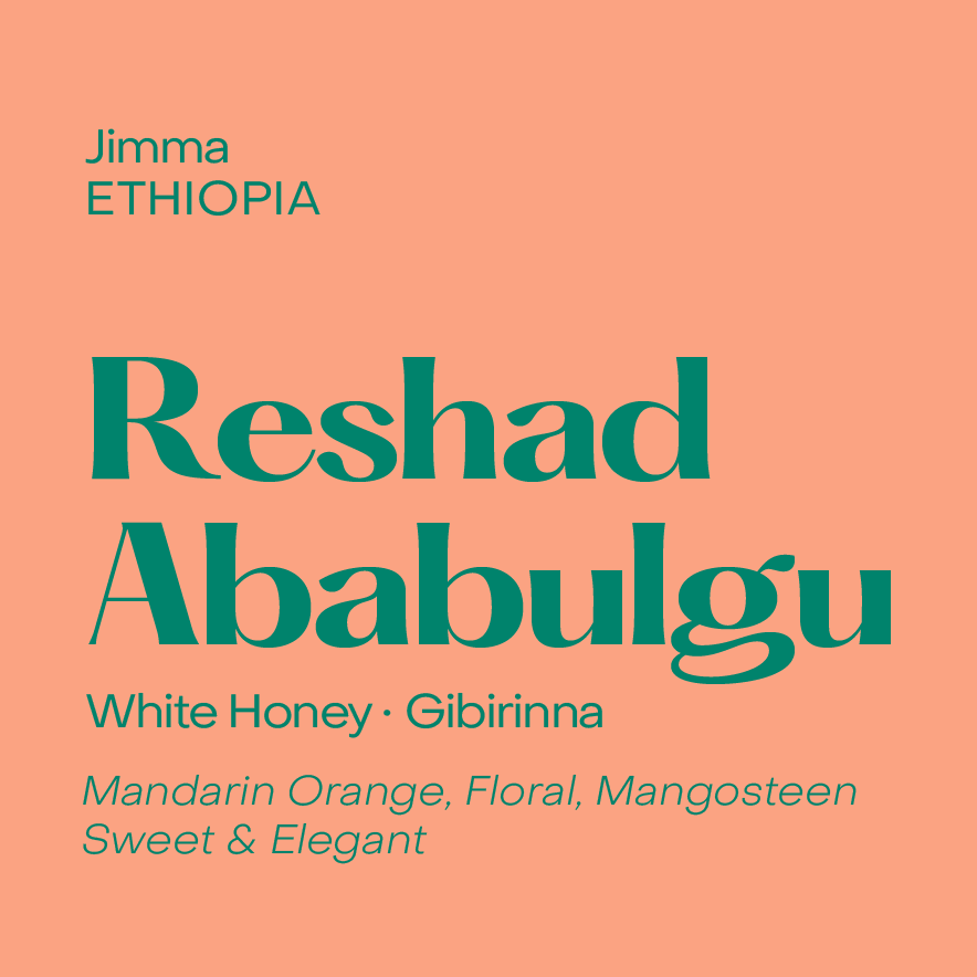 Photo of Reshad Ababulgu, White Honey Gibirinna