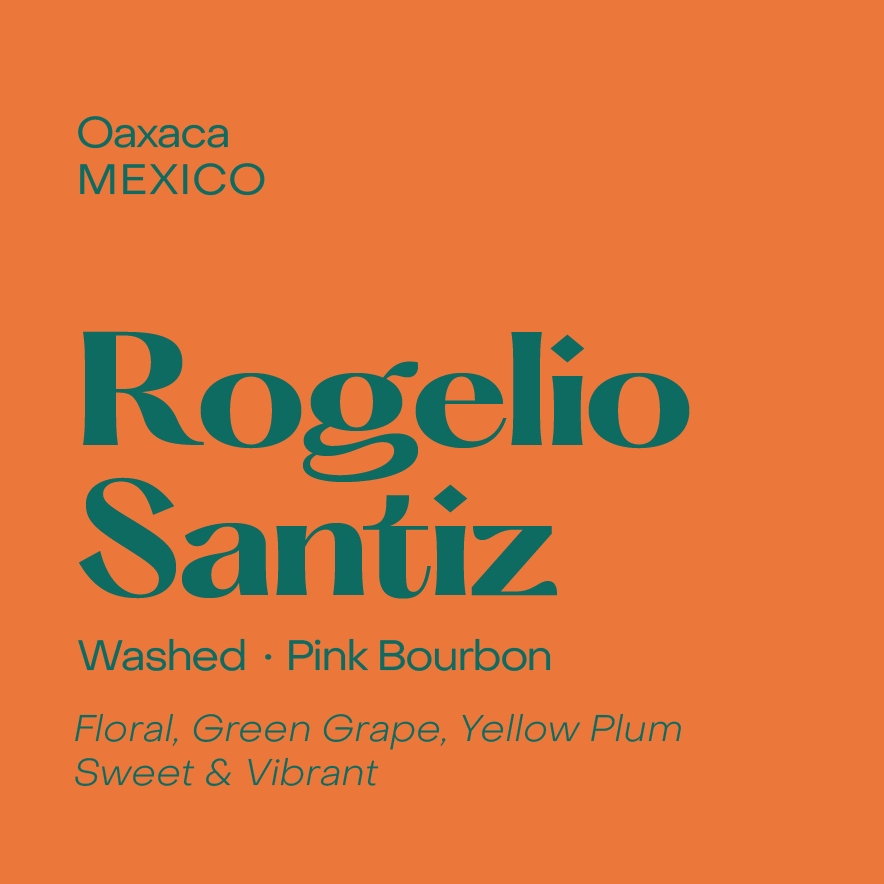 Photo of Rogelio Santiz, Mexico Washed Pink Bourbon