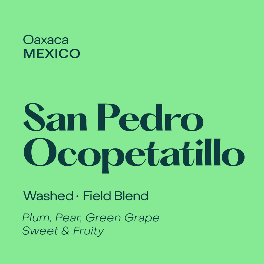 Mexico San Pedro Ocopetatillo '25 Filter, Washed Field Blend packshot