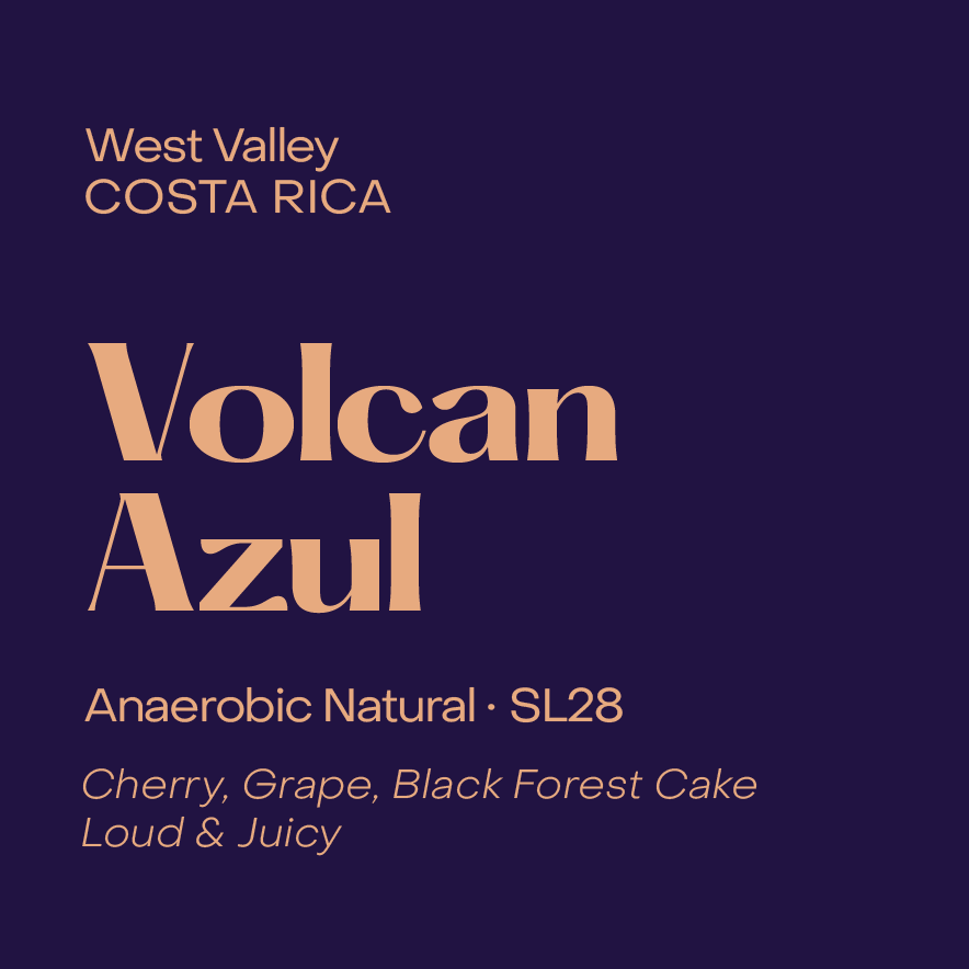 Costa Rica Volcan Azul, Anaerobic Natural SL28 - Filter packshot