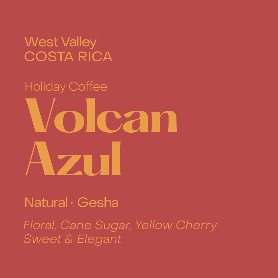 Costa Rica Volcan Azul, Natural Gesha - Filter Beans packshot