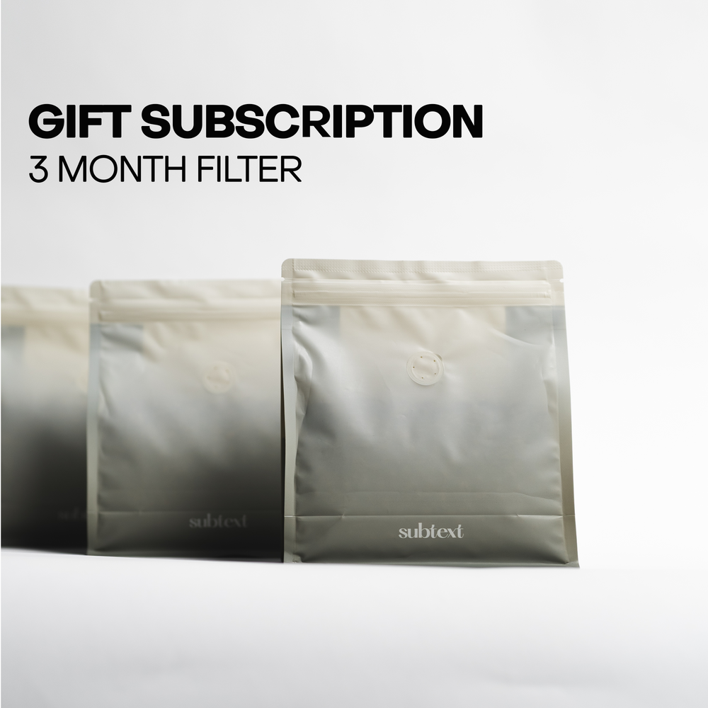 Subtext 3 Month Gift Filter Subscription